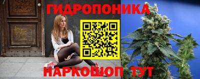 индика Бузулук
