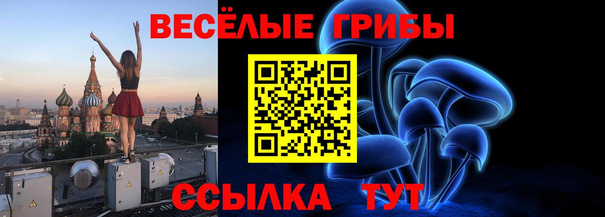 Псилоцибиновые грибы ЛСД  Вход с VPN  закладки  Удомля  Псилоцибиновые грибы Psilocybe 